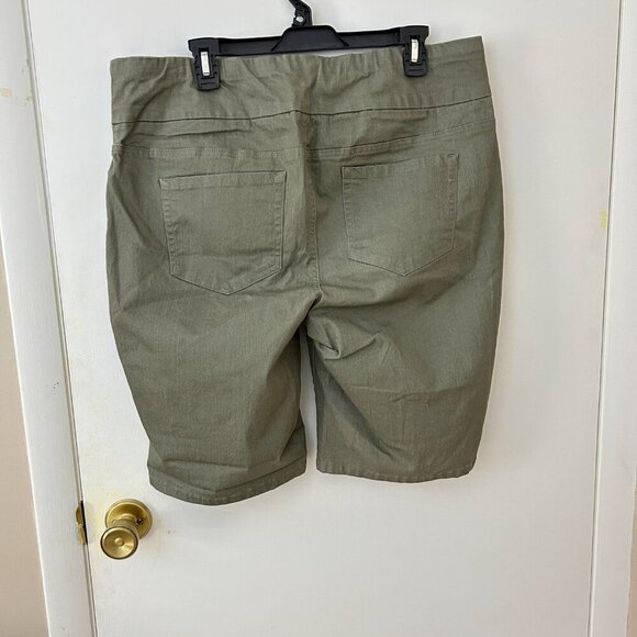 Chadwick's of Boston Sage Green Shorts 16W - Picture 2 of 4